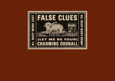 False Clues - Charming Oddball - 1023